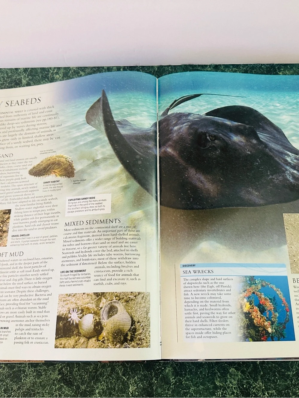 Ocean: The World's Last Wilderness Revealed -Hardcover Coffee Table Book 510p